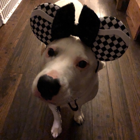 Thank you ❤️ - Picture 6 of 12